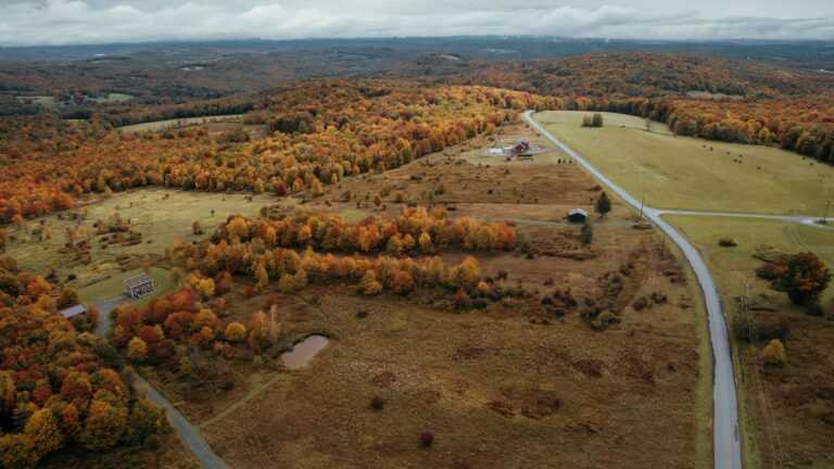 clay banks ixJfrdqQMA unsplash