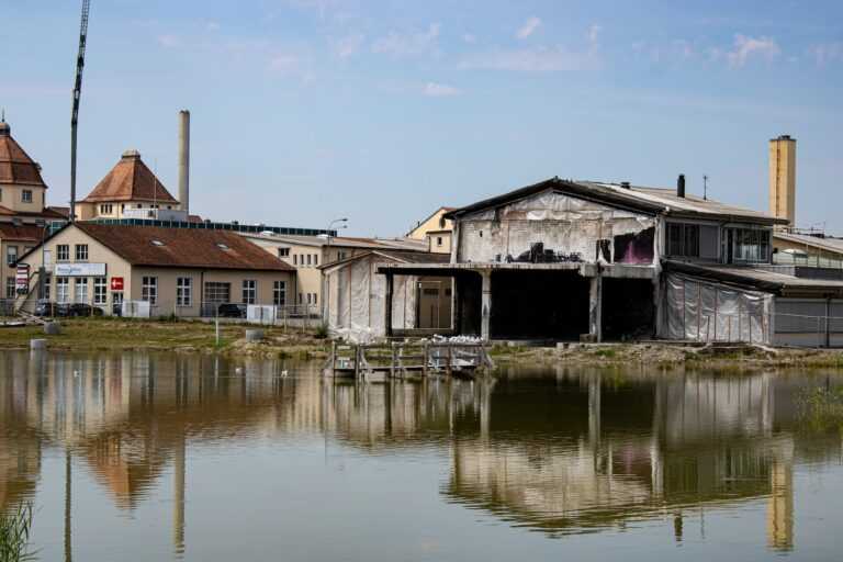 harry dona rYNFLXtdZA unsplash