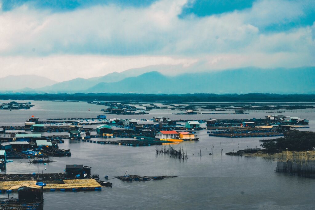 nguyen kiet OGpqMyq k unsplash