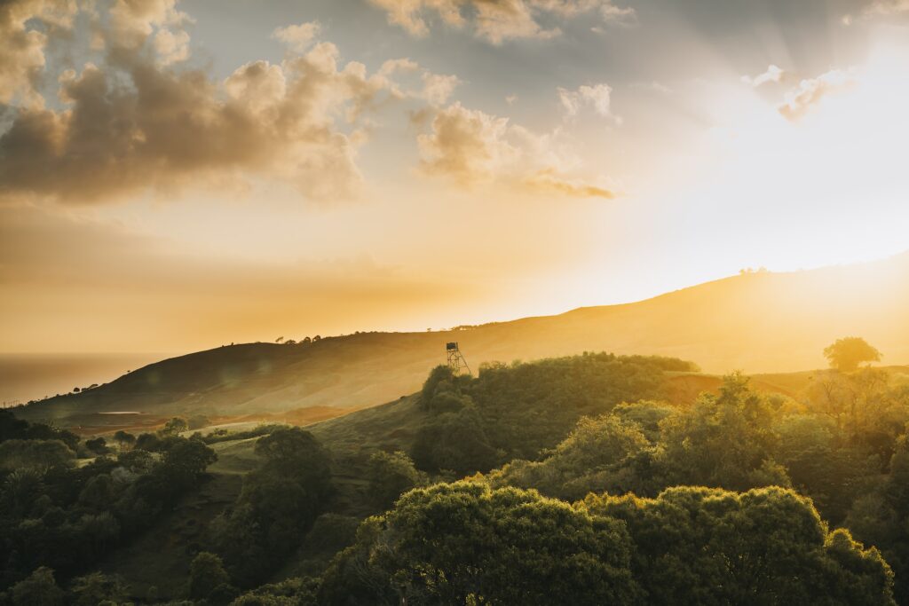 xavier coiffic XktEHvoss unsplash