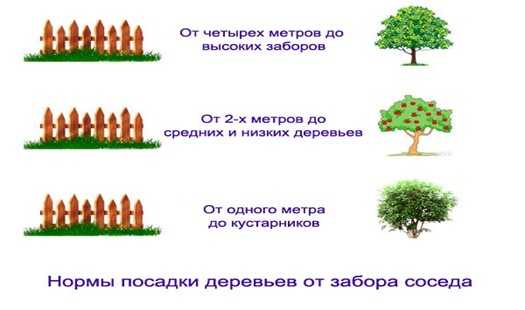 Рисунок Рисунок