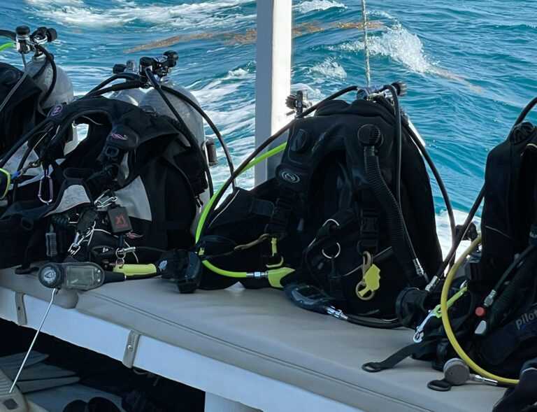 eileen byrne XOAZLGCBCU unsplash