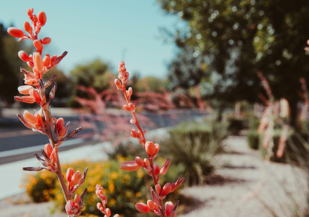 jeff w hOWHDQePow unsplash