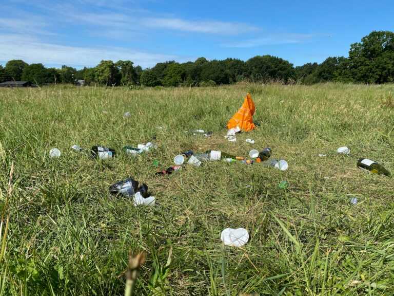 john cameron CNdIErmQMU unsplash ()