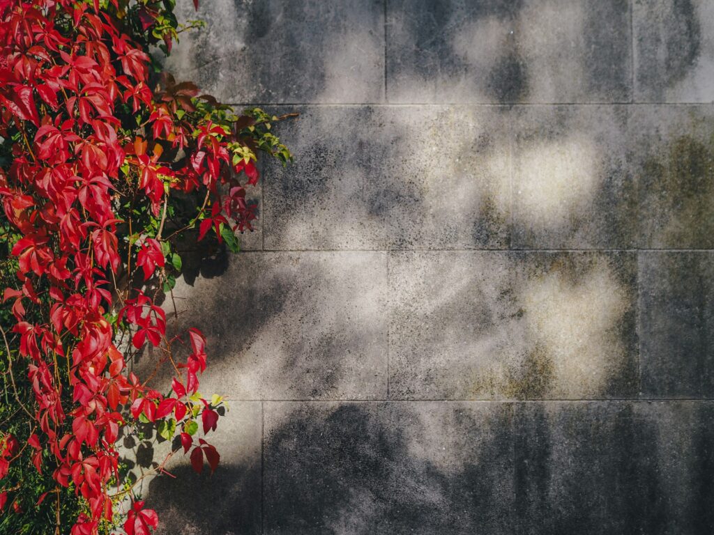 andrew ridley rgF zlBlnA unsplash