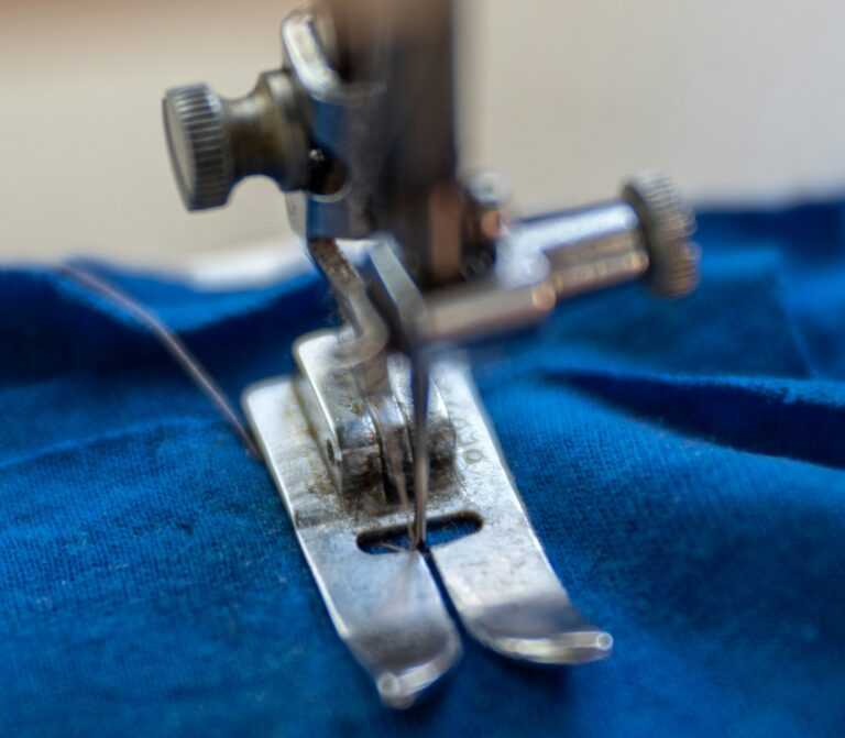 bozhin karaivanov pjldJtZc unsplash