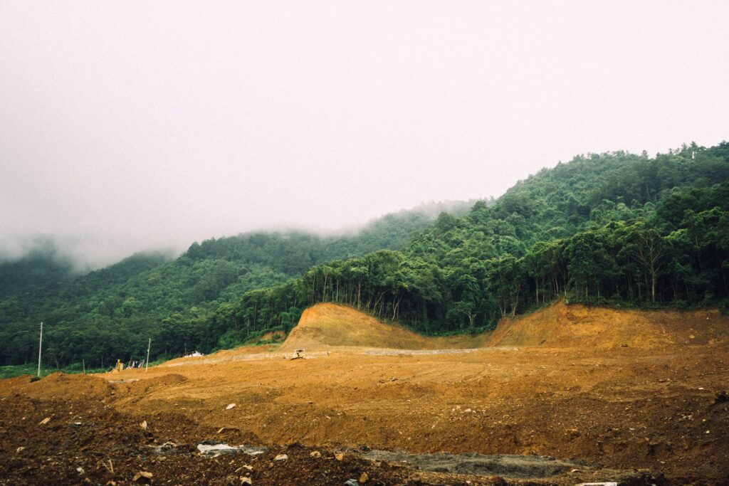 jayant chaudhary TXK MUsWo unsplash ()