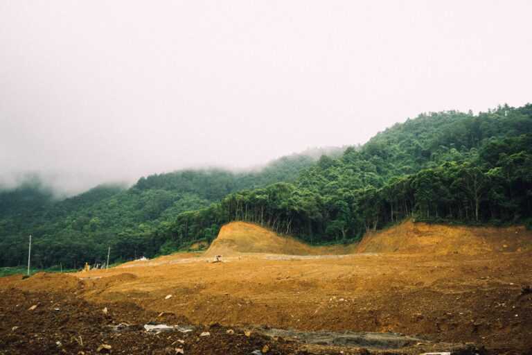 jayant chaudhary TXK MUsWo unsplash ()