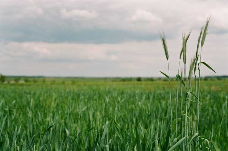 volodymyr dedyshyn iCE uNnHn unsplash