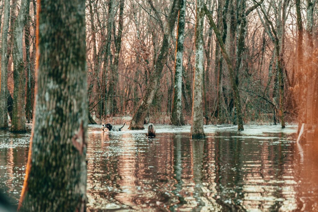 aaron james NnLfuUkLXs unsplash