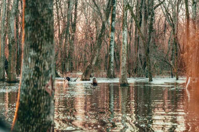 aaron james NnLfuUkLXs unsplash