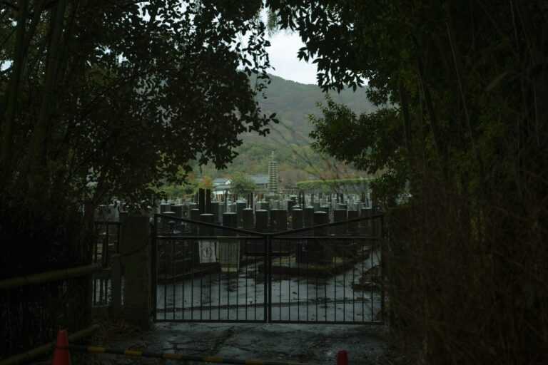 gandosh ganbaatar wnxixiuHQ unsplash