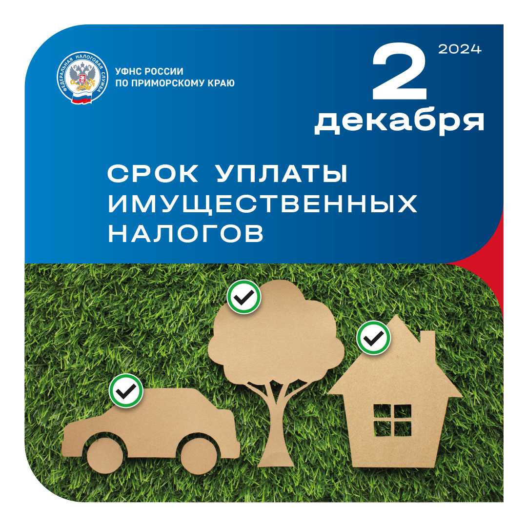 Имущественные налоги web карточк Имущественные налоги web карточк