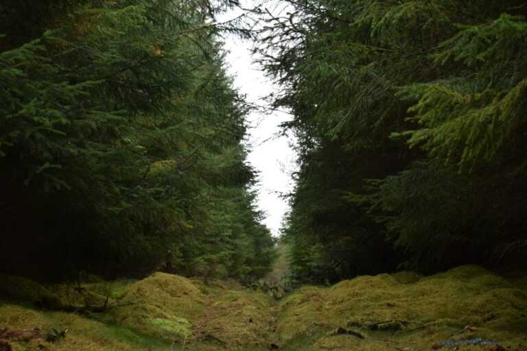 ma ti oHNiY unsplash