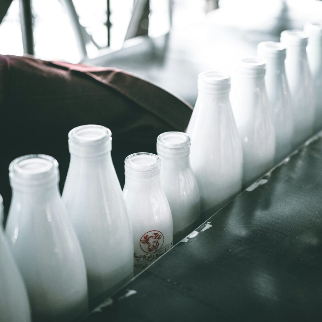 mehrshad rajabi PMkoYvSnLI unsplash