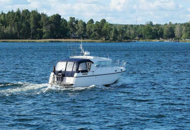 dmitrii eliuseev JRdkiWVWY unsplash