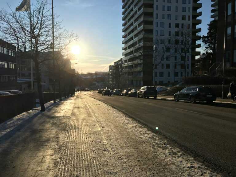 caia oliveira wXVHiWBk unsplash